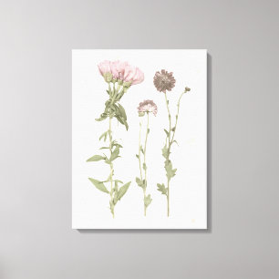 Toile Fleurs en rose