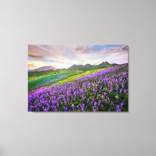Toile Fleurs   Fleurs sauvages californiens