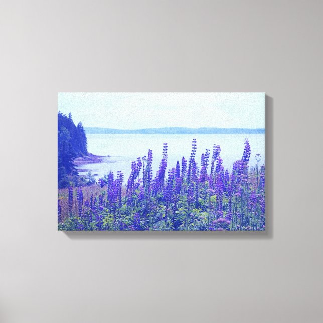 Toile Fleurs fleurs sauvages Maine Lupine (Recto)