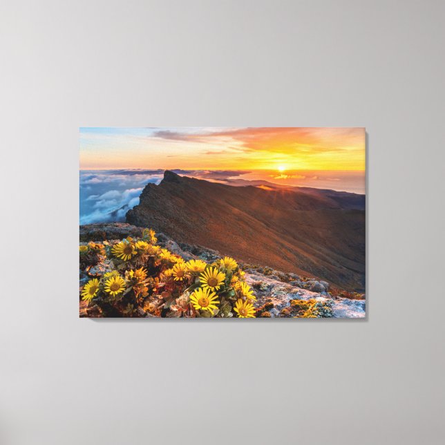 Toile Fleurs | Îles Canaries, Espagne (Recto)