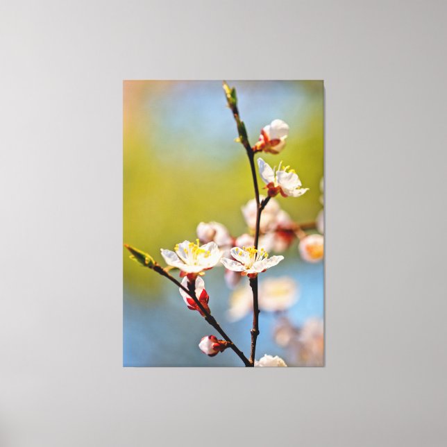 Toile fleurs japonaises d'abricot (Recto)