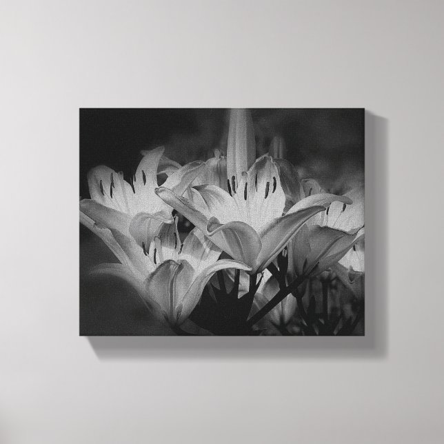 Toile Fleurs Lys En Noir Et Blanc (Recto)