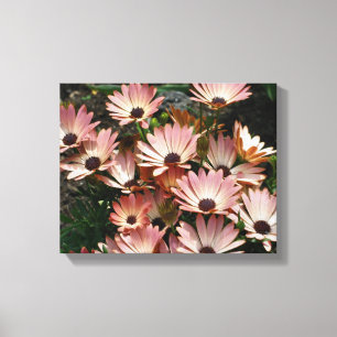 Toile Fleurs marguerites africaines roses