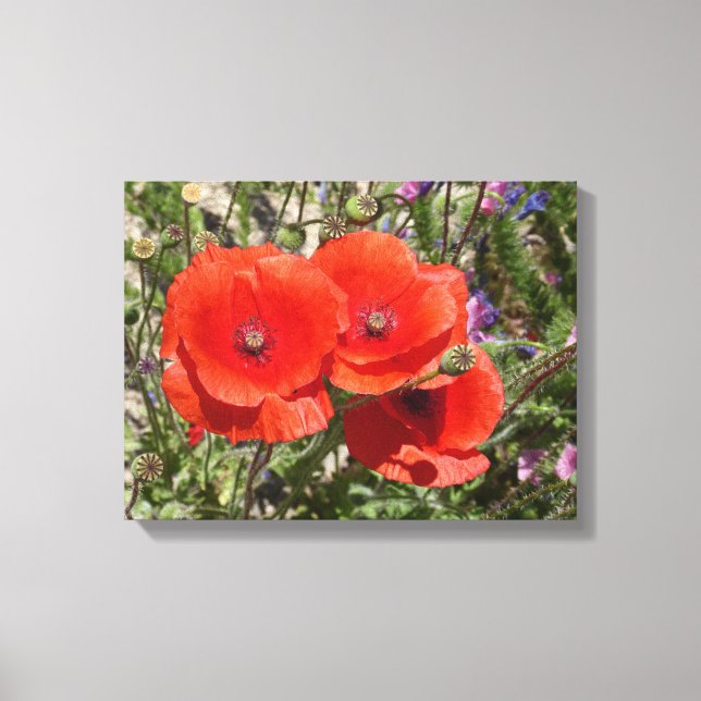 TOILE FLEURS POPPY (Recto)