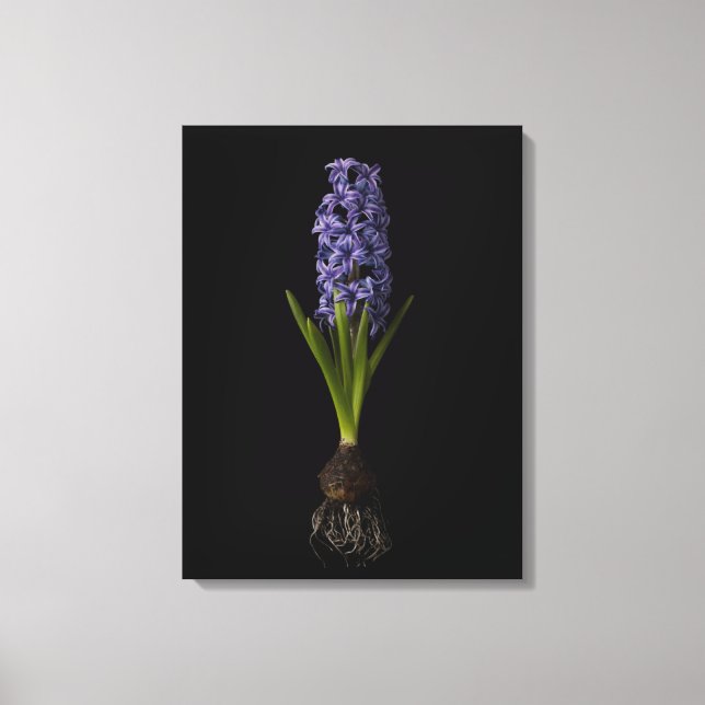 Toile Fleurs | Puce Hyacinth violette (Recto)