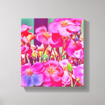 Fleurs roses d'été