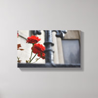 Fleurs rouges Fer forgé Photographie de New York