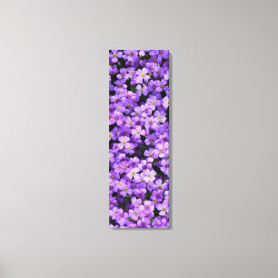 Toile Fleurs Violettes Imprimer Violets Printemps