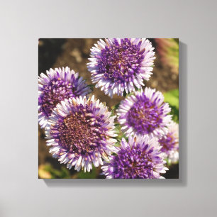 Toile Fleurs violettes photo simple