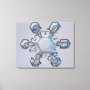 Toile Flocon de neige 2