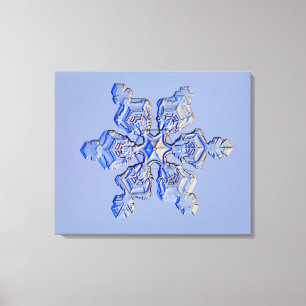 Toile Flocon de neige 3