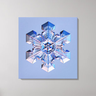 Toile Flocon de neige 3