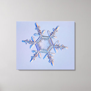 Toile Flocon de neige 4