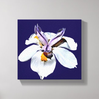 Toile Floral African Iris