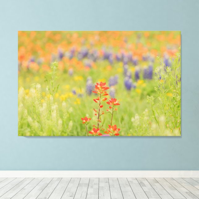 Toile Floral Bluebonnet Photo du Texas Hill Country (Insitu (Plancher de Bois))