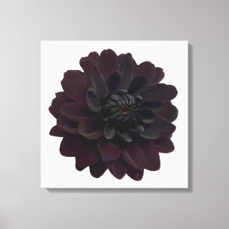 Toile Floral moderne Fleur noire Dahlia