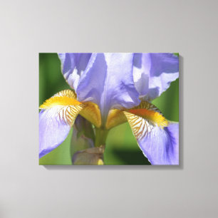 Toile Floralphotographie de Purple Iris
