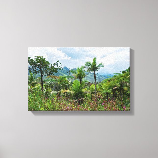 Toile Flore et paysage des montagnes du luquillo (Recto)