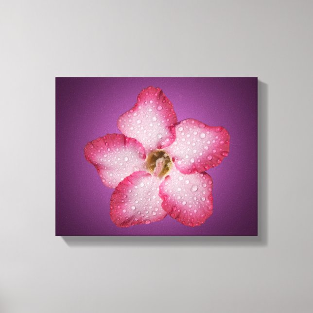 Toile Flore rose Adenium Violet rayé (Recto)