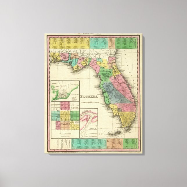 Toile Floride 8 (Recto)
