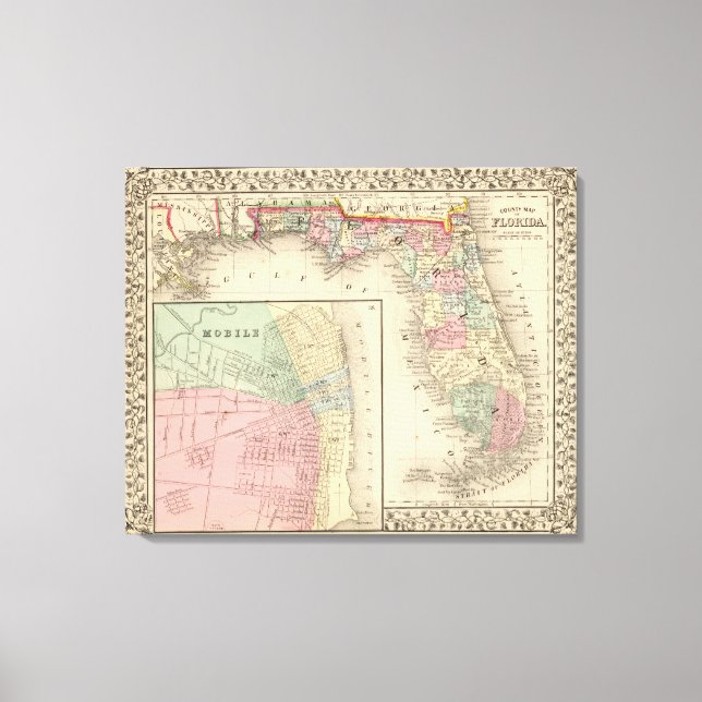 Toile Floride, carte mobile par Mitchell (Recto)