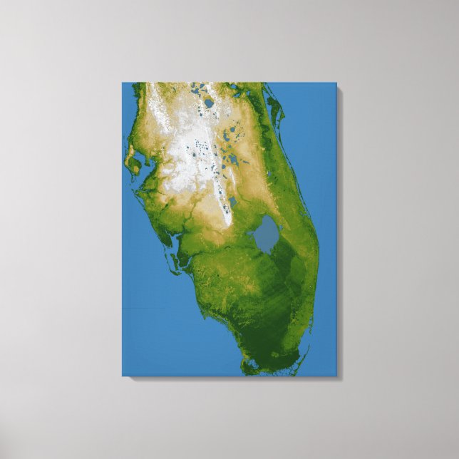 Toile Floride du sud (Recto)