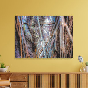 Toile Floride Strangler Fig