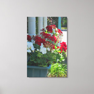 Toile Flower Box Geraniums - Martha's Vineyard