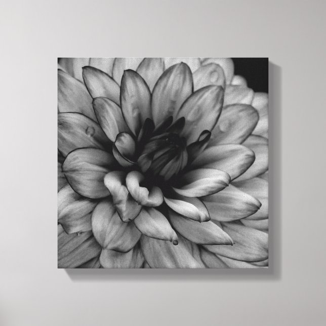 Toile Flower Dahlia (Recto)
