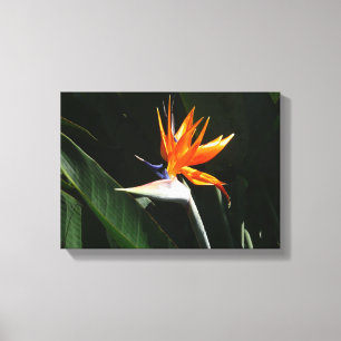 Toile Flower tropical orange paradise