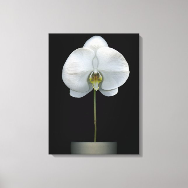 Toile Flowers | White Orchid Flower (Recto)