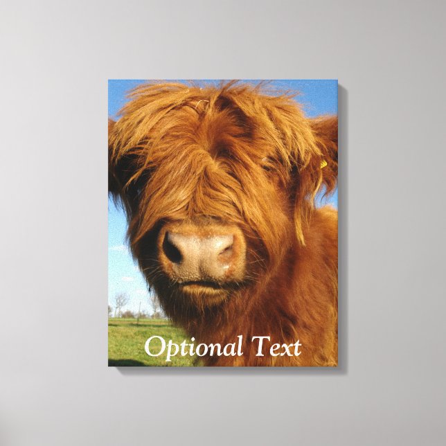 Toile Fluffy Scottish Highland Cow (Recto)
