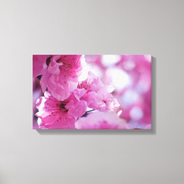 Toile Flux de fleurs de prune (Recto)