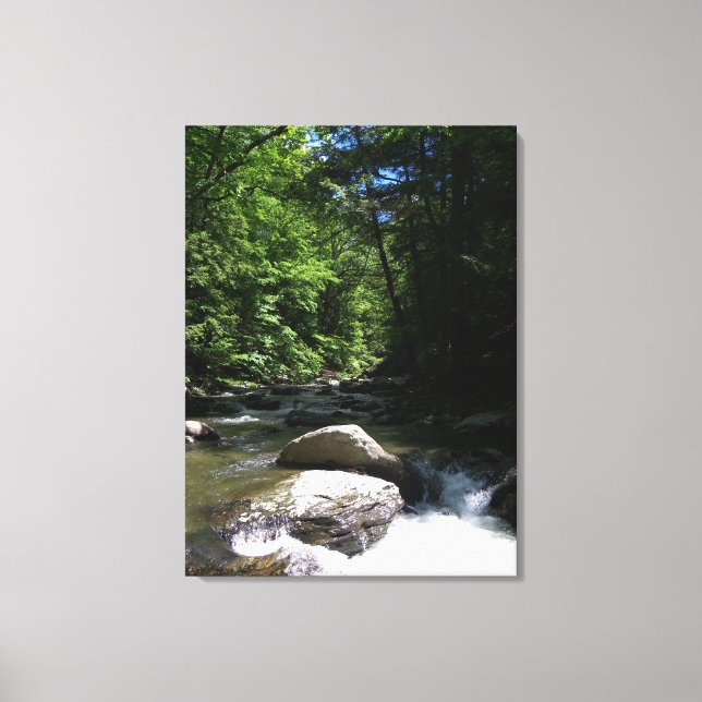Toile Flux de montagne (Recto)