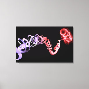 Toile Foetus avec un cordon ombilical fait de brins d'AD
