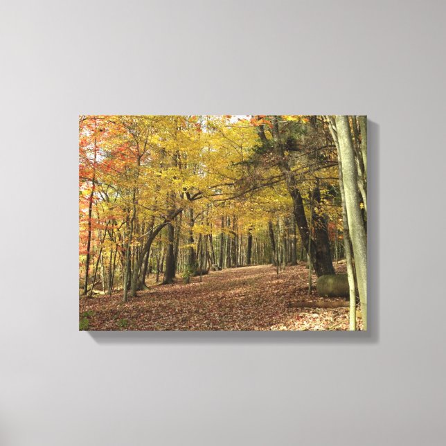 Toile Folithe d'automne photo Serene Bois d'automne (Recto)