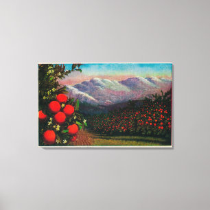 Toile Foothill Orange Grove in the WinterState