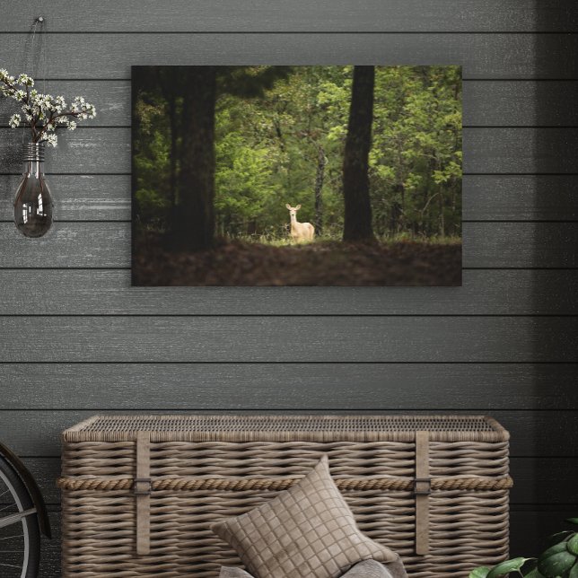 Toile Forest | A White Tailed Deer in the Woods (Créateur téléchargé)