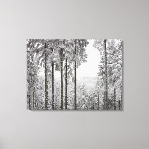 Toile Forêt à feuillage persistant en hiver