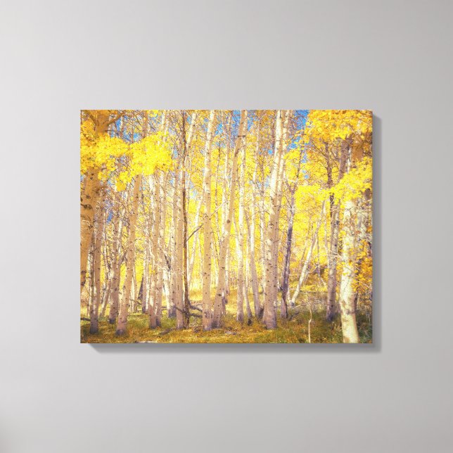 Toile Forêt d'Aspen doré (Recto)