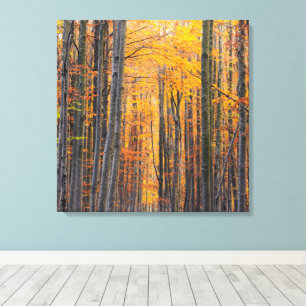 Toile Forêt d'automne dorée époustouflante