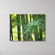 Forêt de bambou japonais calme