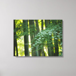 Toile Forêt de bambou japonais calme