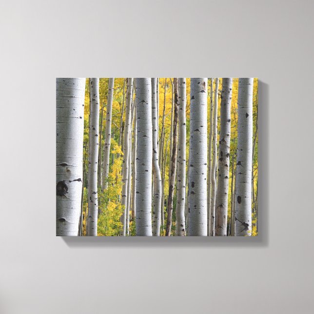 Toile "Forêt de bouleaux" (Recto)
