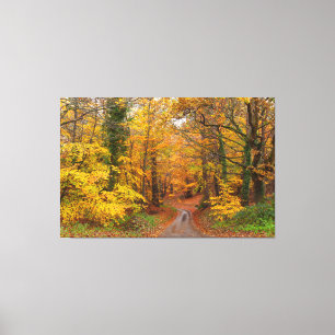 Toile Forêt de l'automne avec chemin