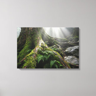 Toile Forêt de mousse de Yakushima 'Souffle de vie' | Bi