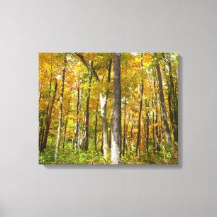 Toile Forêt du paysage d'automne Feuille Jaune
