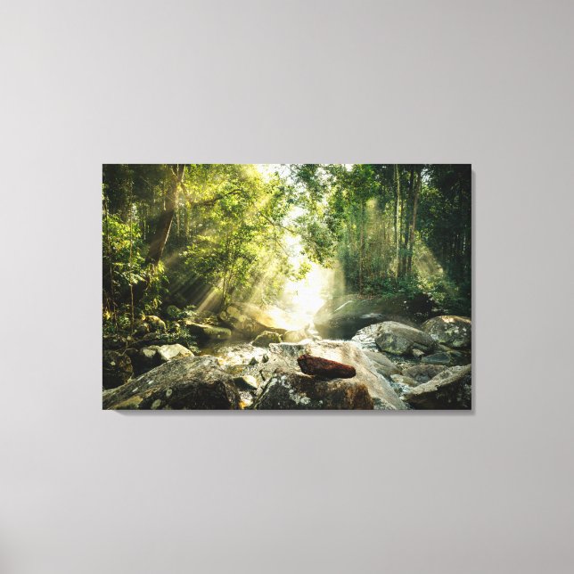 Toile Forêt | Forêt tropicale de la Jungle (Recto)