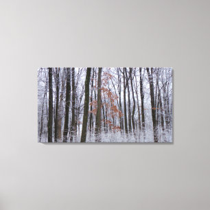 Toile Forêt huppée neige paysage d'hiver Photographie