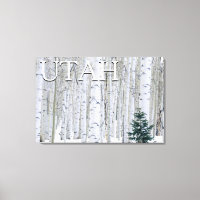 Forêt nationale de Manti-LaSal, Utah
